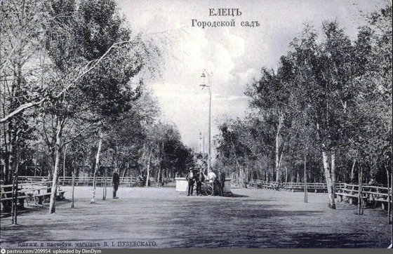 Городской сад